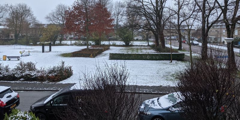 Первый снег превратил Нидерланды в сказочную страну