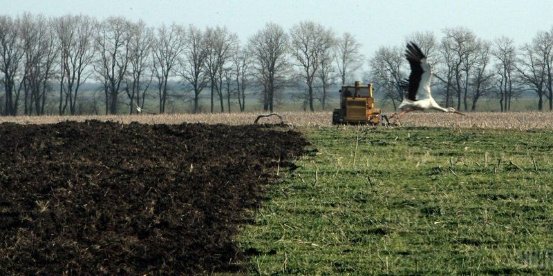 Обсяг тіньового ринку землі в Україні сягає 10 мільярдів гривень - міністр економіки