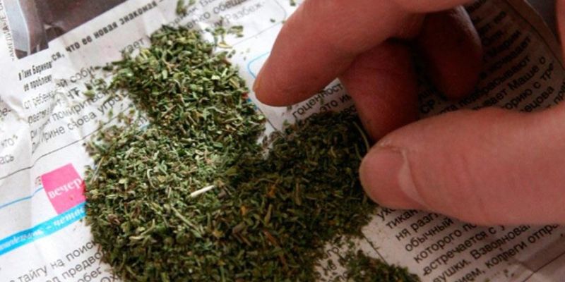 У ранее судимого жителя Мелитополя при обыске нашли внушительные запасы марихуаны