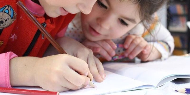 7 преимуществ начального школьного образования над домашним: взгляд учителя