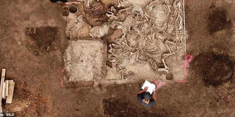 Золото і 6 жінок - розкопали поховання вождя