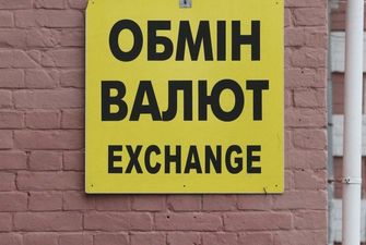 Карантин нанес сильный удар по курсу валют в Украине - экономист
