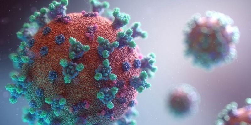 В Британии обнаружили новый штамм коронавируса - «бразильский»