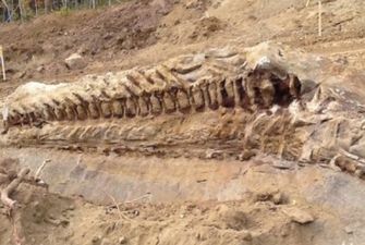 Ученые обнаружили самого крупного хищного динозавра