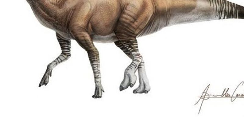 Обнаружен новый вид динозавров