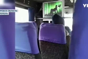 В Мелитополе водитель маршрутки "развлекал" пассажиров эротическим видео