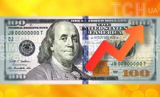 Курс валют на 23 февраля: сколько будут стоить доллар, евро и злотый