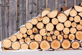 Не дают тепла: какими дровами лучше не отапливать дом