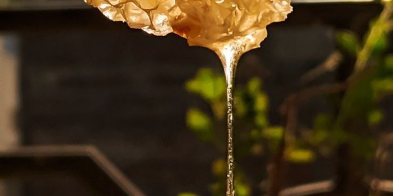 Дали три поради, як розтопити зацукрований мед