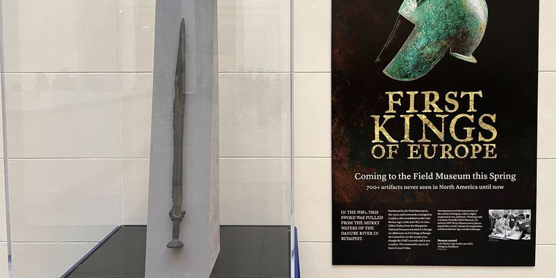 Его считали подделкой: фото уникального меча возрастом 3000 лет