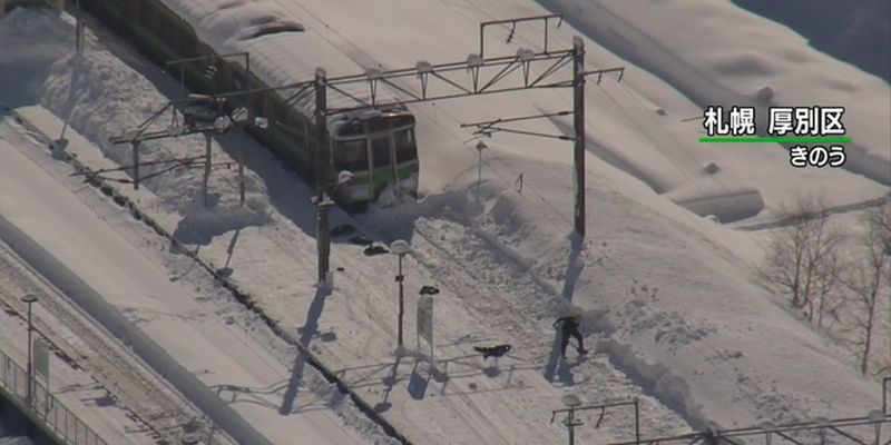В Японии частично возобновили железнодорожное движение после сильного снегопада
