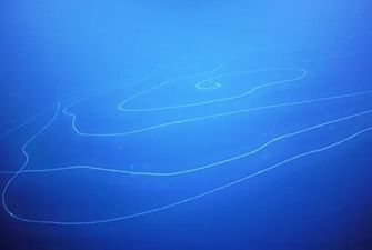 Конкурент Ктулху. В глубине океана обнаружили гигантское 45-метровое чудище с щупальцами