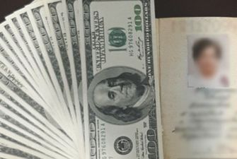 Везла $11 тис. в ОРДЛО: на Донеччині жінку двічі зловили на хабарі, її передали поліції