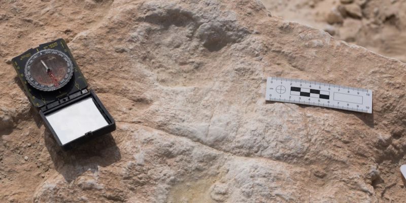В Саудовской Аравии обнаружили окаменелые следы человека, оставленные 120 тыс. лет назад