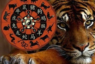 7 фактов о Голубом тигре: каким будет 2022 год и чего ждать от его символа/В следующем году удача улыбнется смелым и целеустремленным людям