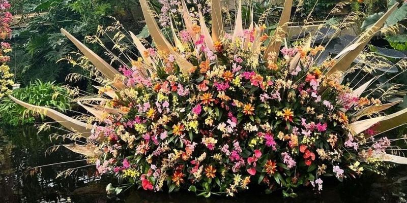В лондонском ботсаду одновременно показали 5 тысяч орхидей