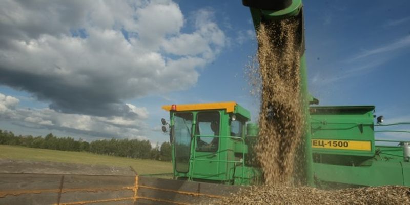 Как рекордный урожай зерна повлияет на цены в магазинах