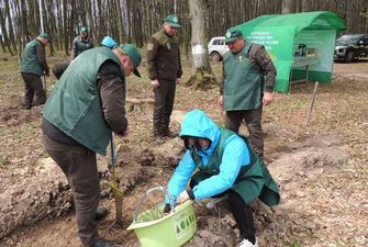 На Буковині триває лісокультурна кампанія – висадили більше мільйона дерев