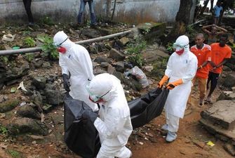 Вирус снова распространяется: Ученые назвали условия новых вспышек лихорадки Эбола