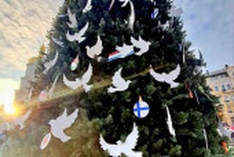 Голубів з головної ялинки в Києві продали для збору коштів на "Армію дронів"