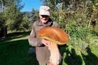 У Карпатах знайшли гриб-гігант