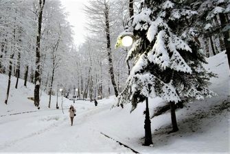 Готовьтесь к осадкам: в среду почти по всей Украине пройдет снег