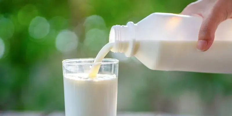 Повлияло на переносимость лактозы. Ученые провели исследование, как древние люди употребляли молоко