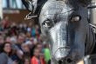 Статуя или собака: новая оптическая иллюзия взорвала Сеть
