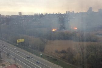 В Киеве произошел большой пожар на Совских прудах