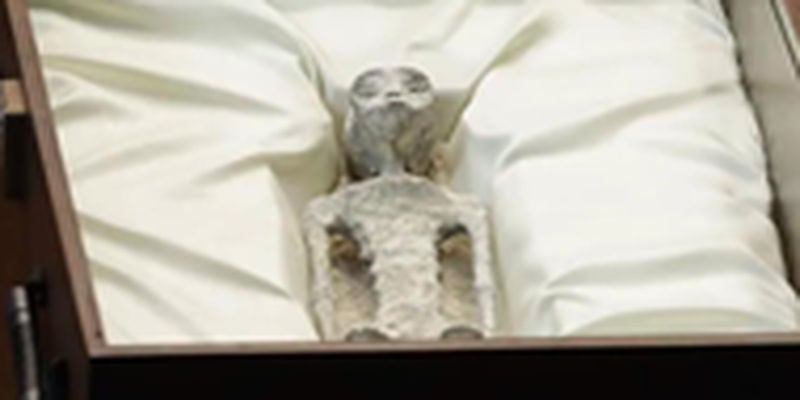 В Конгрессе Мексики показали мумии "инопланетян"