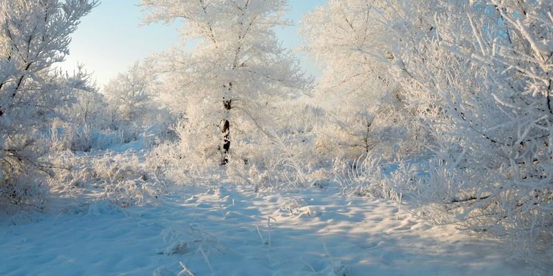 Экстремальные "минусы": синоптики предупредили о снегопаде в Украине