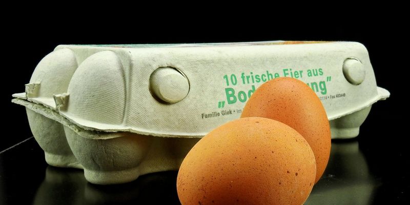 Українські виробники зможуть експортувати столові яйця до Ефіопії