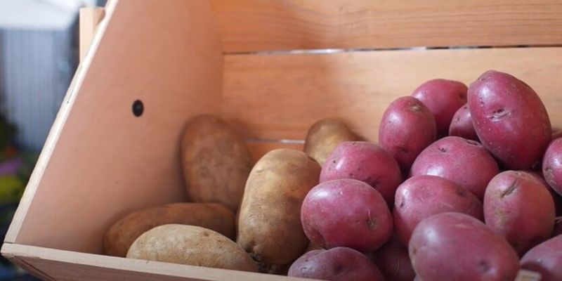 Эксперты объяснили, почему держатся высокие цены на картофель