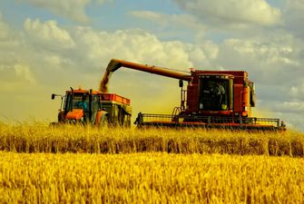 Аграрии объяснили, почему отложили уборку зерновых