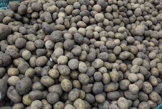 Україна через неврожай за місяць імпортувала річний обсяг картоплі