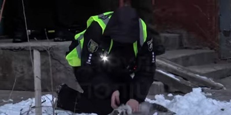 Во Львове патрульные спасли кошку от гибели, трогательное видео