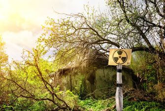 Тревожная ситуация в Чернобыльской зоне: обнаружены нелегальные поля