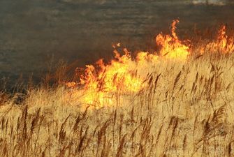 На Полтавщині загорілися 50 га сухої трави