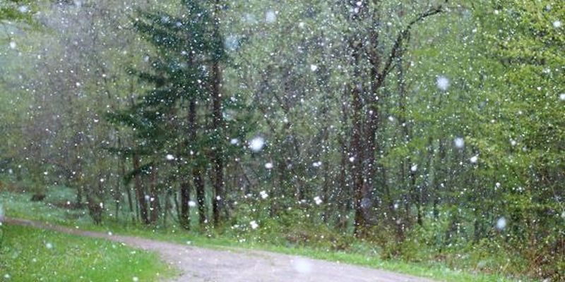 Тиждень похолодання, дощів та навіть мокрого снігу: прогноз погоди на 12-18 квітня