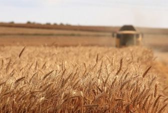 Аграрный экспорт из Украины в ЕС увеличился на рекордную в мире сумму