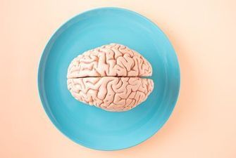 Человеческий мозг за последние 100 лет существенно увеличился: как это может повлиять на здоровье