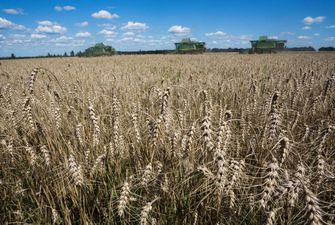 В Укрлендфармінгу розповіли, як через інновації підвищують врожайність посівів