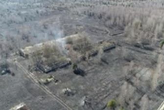 Пожар в Чернобыльской зоне показали на видео