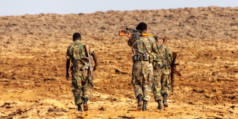 Военные Эфиопии уничтожили больше 300 боевиков