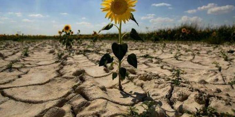 Другий рік посуха? Вчені дали тривожний прогноз для українських аграріїв