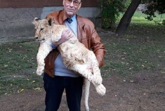 «Лучше бы не рождались»: в Николаевском зоопарке не знают, куда девать львят и тигрят
