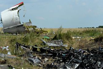 "Сожалеем, что нас не допустили": в Кремле высказались о приговоре суда по делу MH17