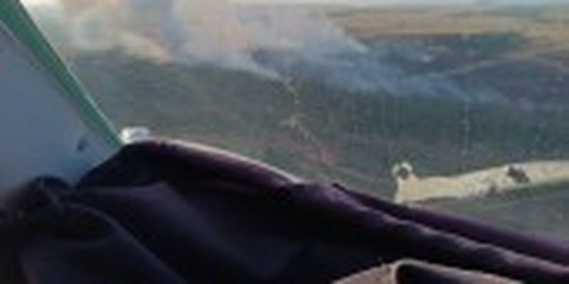 Масштабна лісова пожежа на Херсонщині: залучили авіацію та пожежні танки