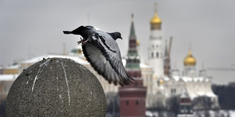 В СНБО назвали манипуляцией «нелетную погоду» на парадах в россии