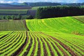 В Украине зарегистрировали уже 51% сельскохозяйственных госземель